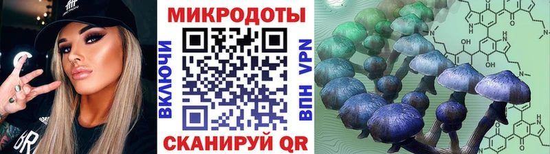 Галлюциногенные грибы Psilocybe  Узловая 