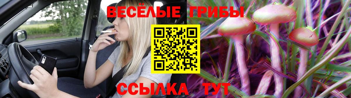 Узловая  Галлюциногенные грибы GOLDEN TEACHER  Галлюциногенные грибы MAGIC MUSHROOMS  Вход с VPN 